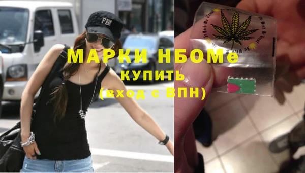 сатива Аркадак