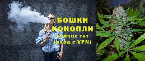 PSILOCYBIN Арсеньев