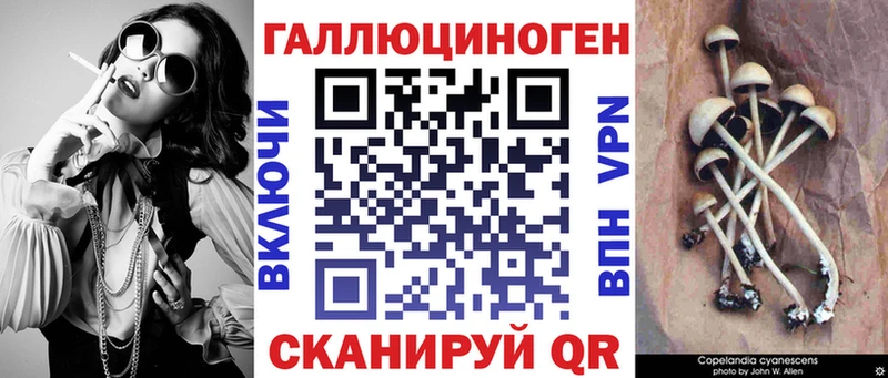 площадка наркотические препараты  Весьегонск  Галлюциногенные грибы прущие грибы 
